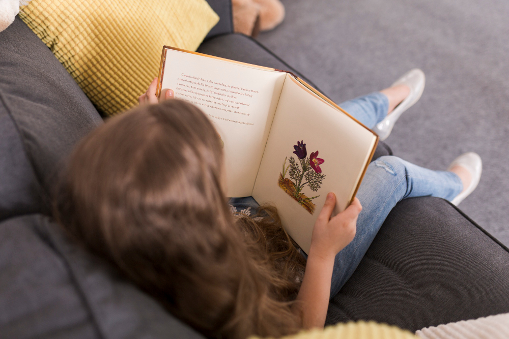 Livros ilustrados: por que eles são tão importantes na alfabetização 3 Livros ilustrados: por que eles são tão importantes na alfabetização